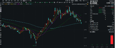 拐点信号显现？北向资金加仓+ETF资金逢跌买入，花旗、美银唱多金价！有色金属板块迎来配置机遇？