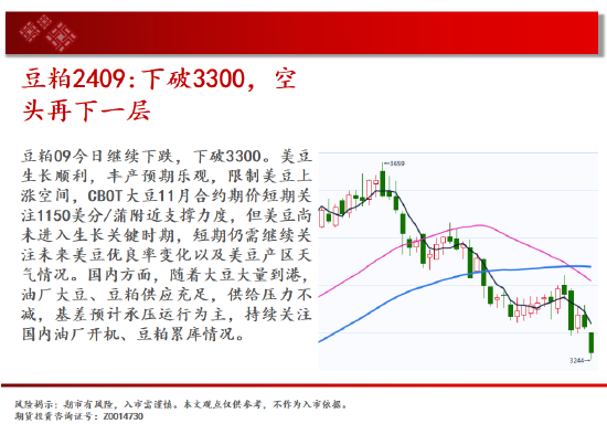 中天期货:玉米区间回落 棕榈高位渐渐
走低